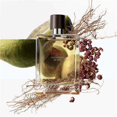 terre hermes perfume|terre d'hermes perfume for women.